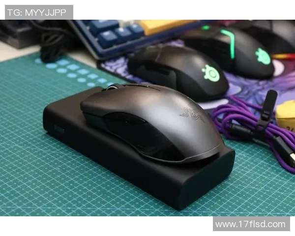 esports数据英雄联盟装备选购指南最佳鼠标推荐与使用技巧分享